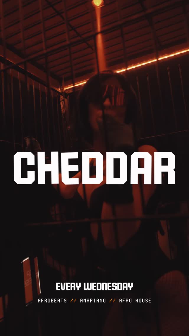 cheddar edition 1